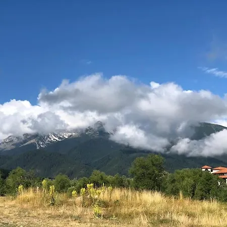 Modern 1br With Amazing View
